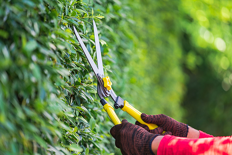 外回りの修理イメージ